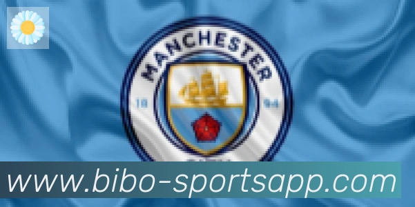 必博bibo官网体育合作伙伴